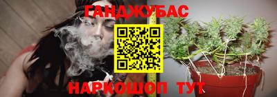 ГАЛЛЮЦИНОГЕННЫЕ ГРИБЫ Кимры