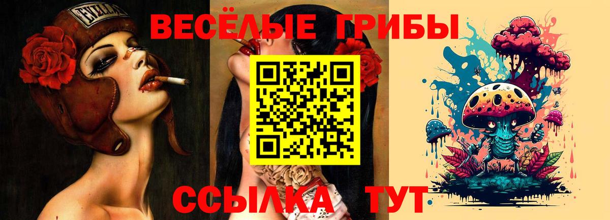 Жуковский  Галлюциногенные грибы GOLDEN TEACHER  Галлюциногенные грибы ЛСД  Вход с VPN 